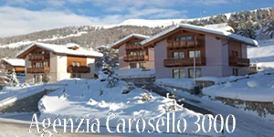 Logo: Agencja Carosello 3000